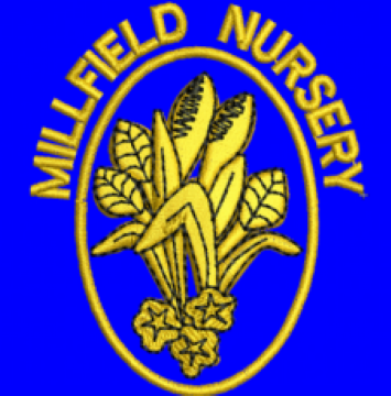 The Millfield Nursery School